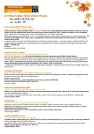 umělecké dílo na výstavě